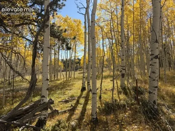 417 Aspen Way Drive, Florissant, CO 80816
