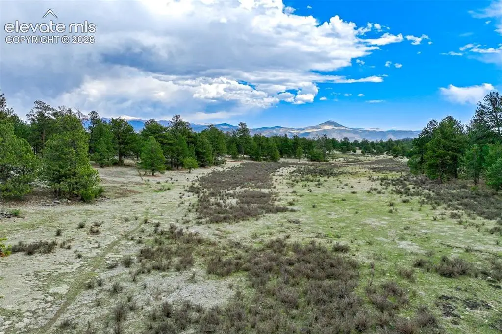 Tract 103 Doe Valley Road, Guffey, CO 80820 - #1