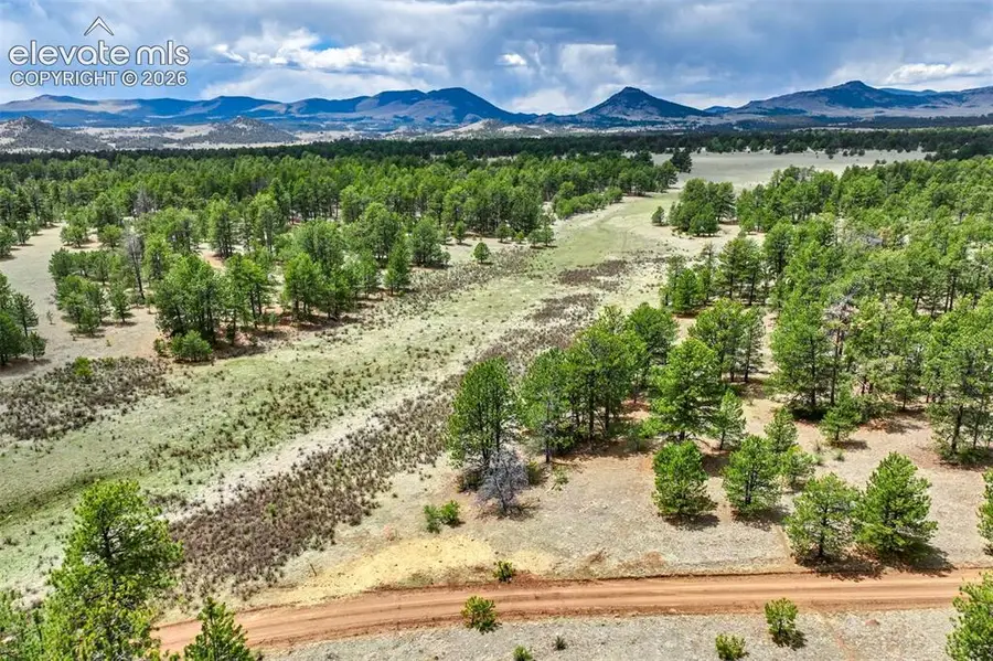 Tract 103 Doe Valley Road, Guffey, CO 80820 - #2
