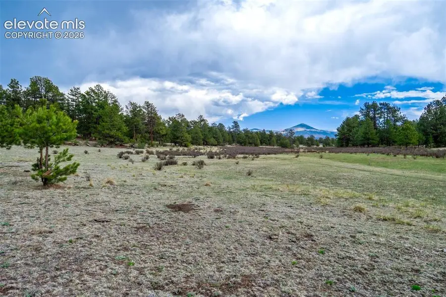 Tract 103 Doe Valley Road, Guffey, CO 80820 - #3