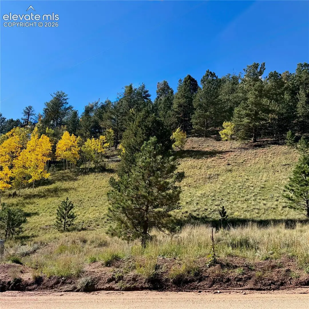 200 Beaver Pond Road, Divide, CO 80814 - #1