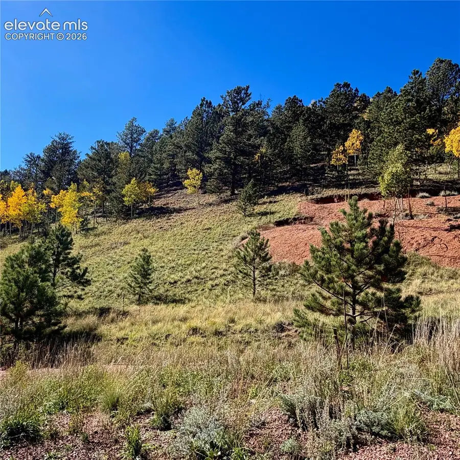 200 Beaver Pond Road, Divide, CO 80814 - #3