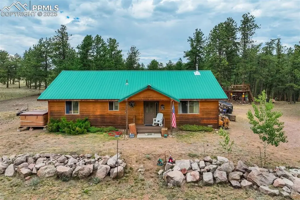 141 Cabin Lane, Guffey, CO 80820 - #1