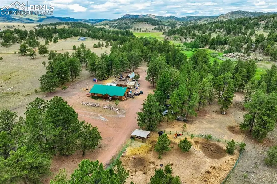 141 Cabin Lane, Guffey, CO 80820 - #2