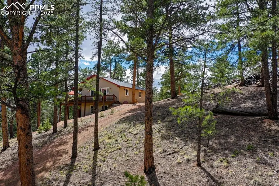 185 Wildcat Creek Drive, Florissant, CO 80816 - Image #2