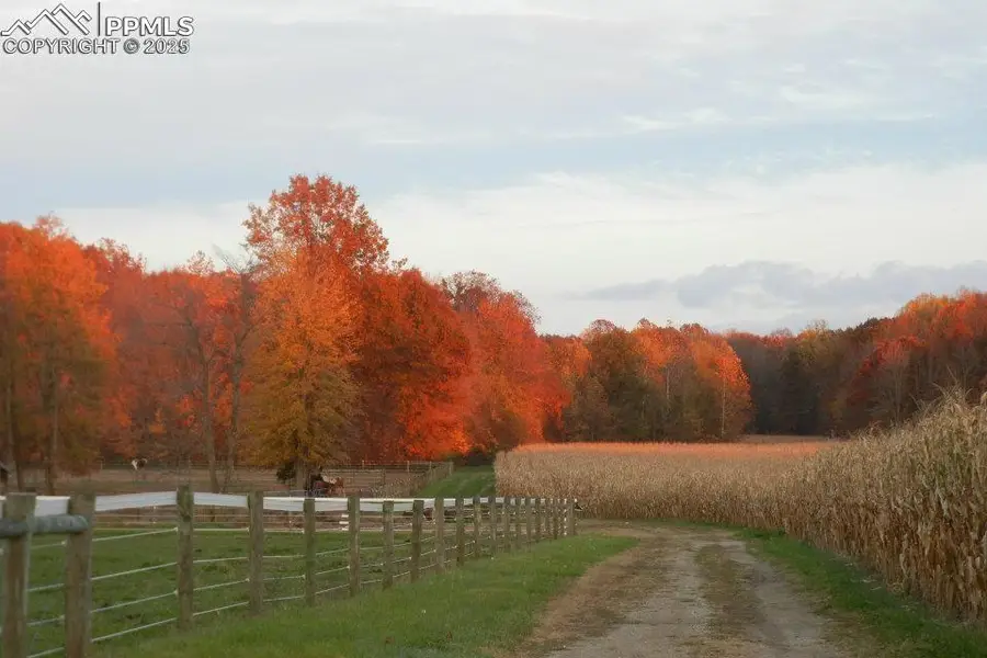 Address Withheld By Seller, Colorado Springs, CO 80903 - Image #2