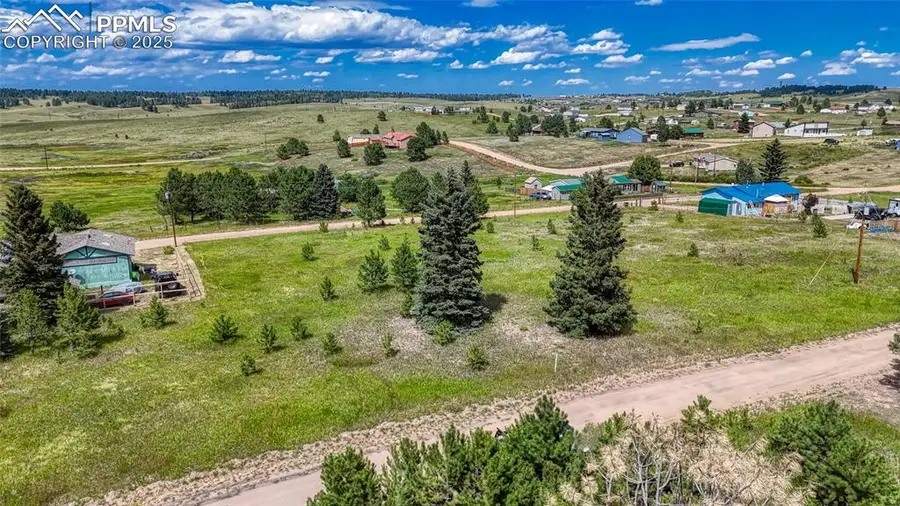 1129 Will Scarlet Drive, Divide, CO 80814 - #2