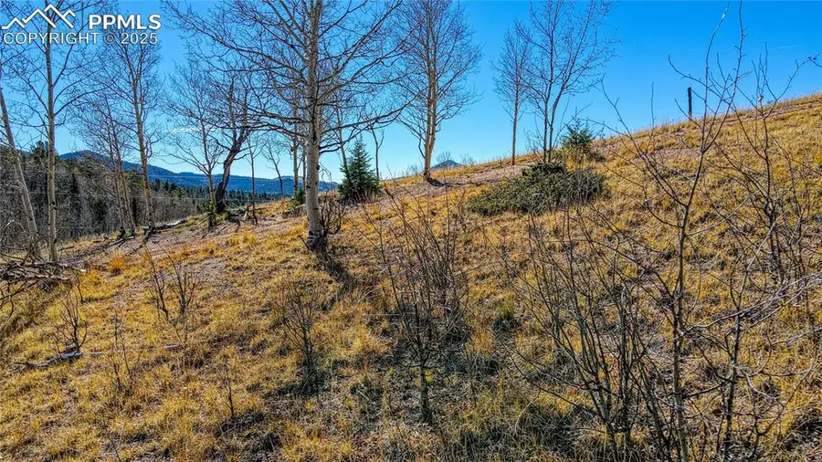 1343 Golden Cycle Circle, Cripple Creek, CO 80813 - Image #3