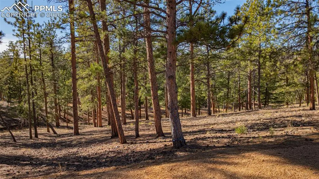 113 Schmittel Drive, Sedalia, CO 80135 - Image #1