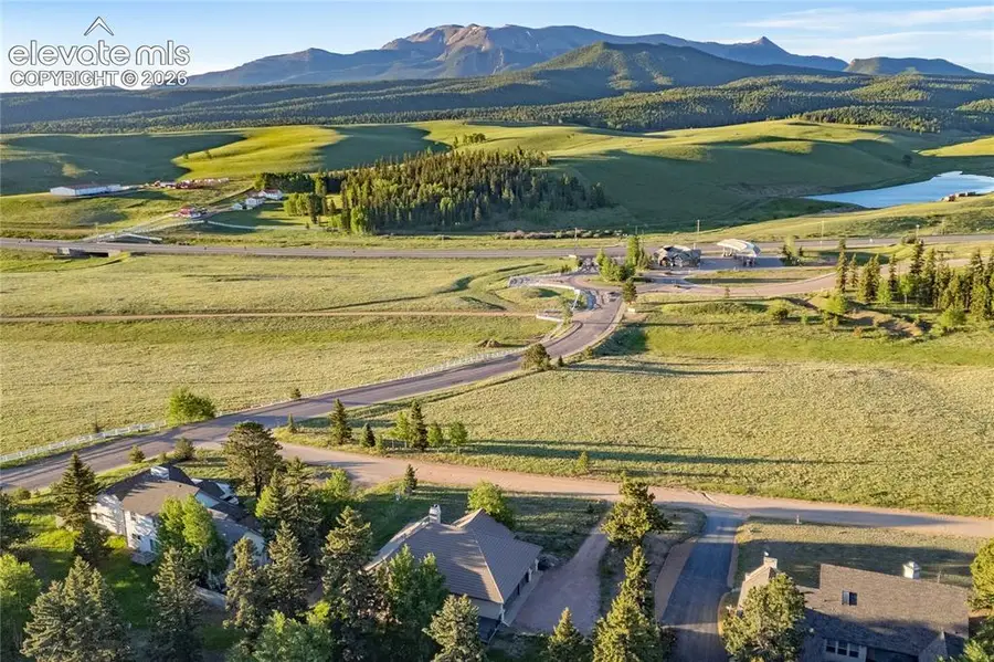 106 Joshua Road, Divide, CO 80814 - #3