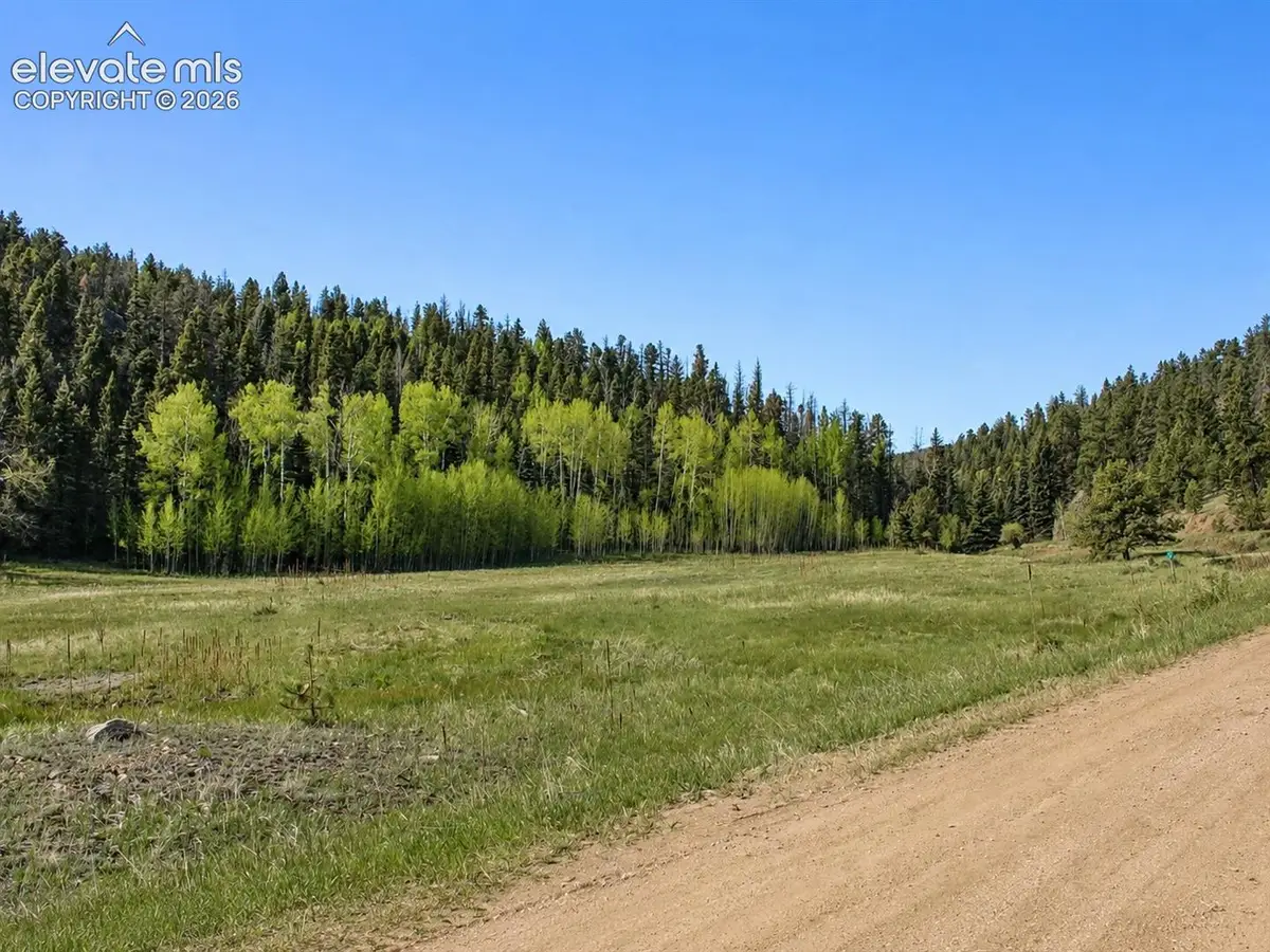 Lot 1 County Road 358, Westcliffe, CO 81252 - #1
