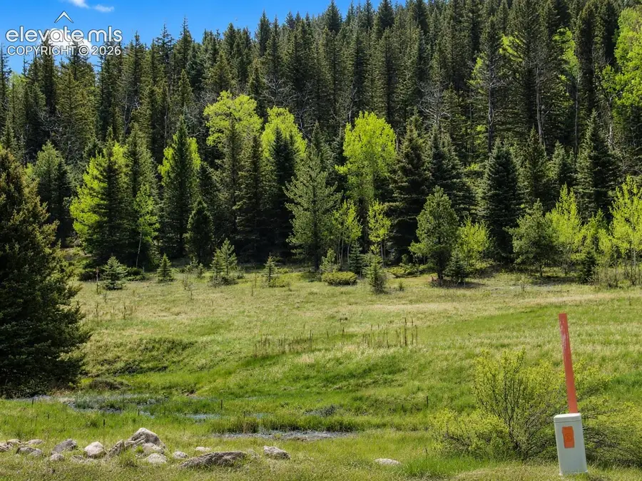 Lot 1 County Road 358, Westcliffe, CO 81252 - #3