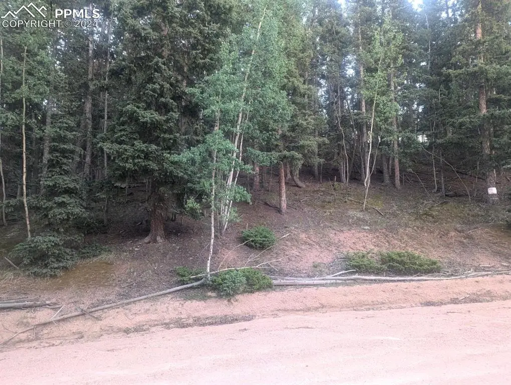 358 Pawutsy Road, Florissant, CO 80816 - #1