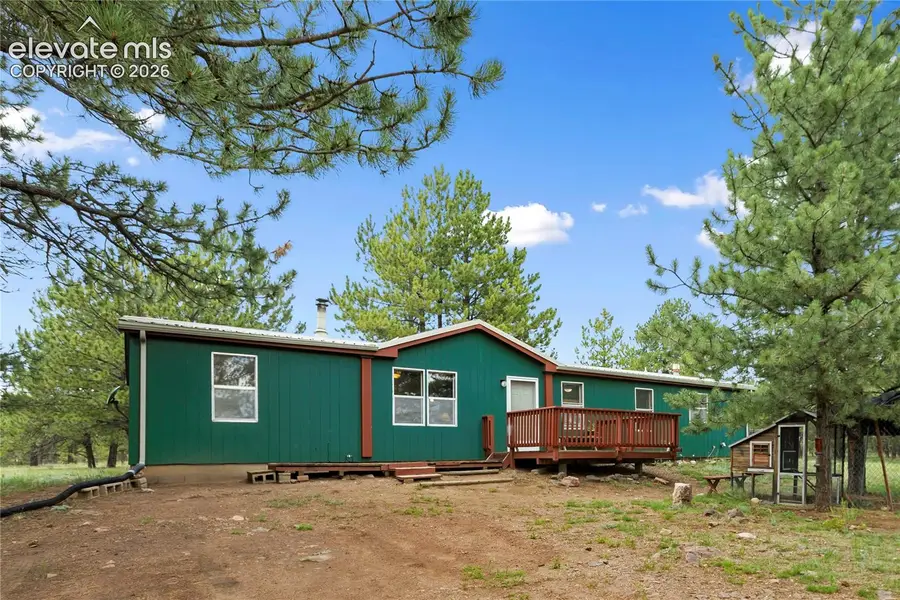 1395 Doe Valley Road, Guffey, CO 80820 - #2