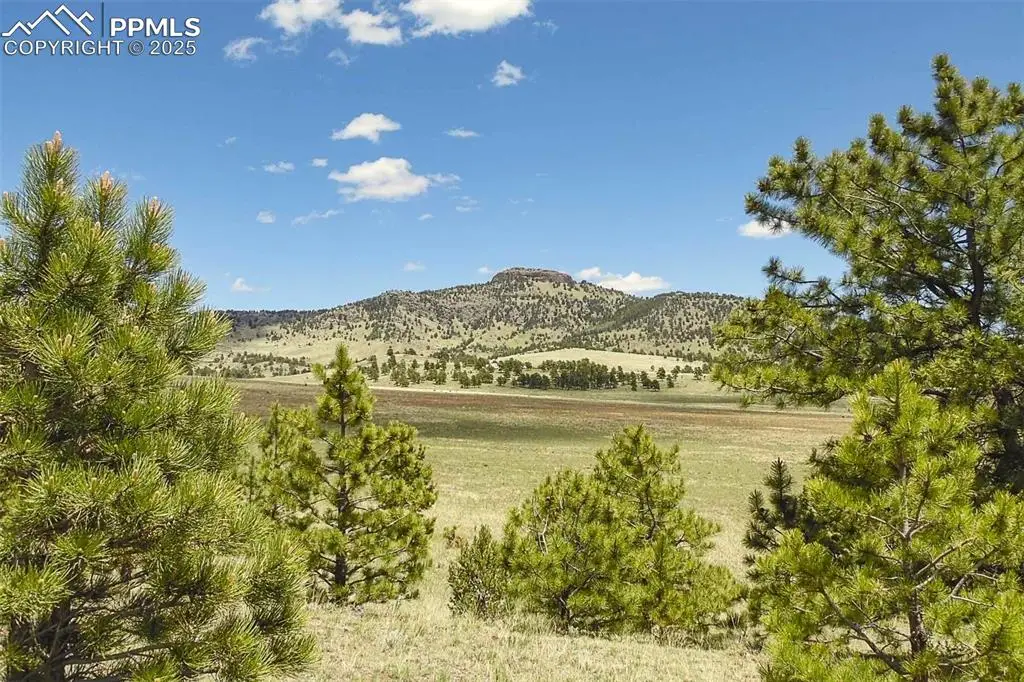 129 Eagle Nest Trail, Guffey, CO 80820 - #1