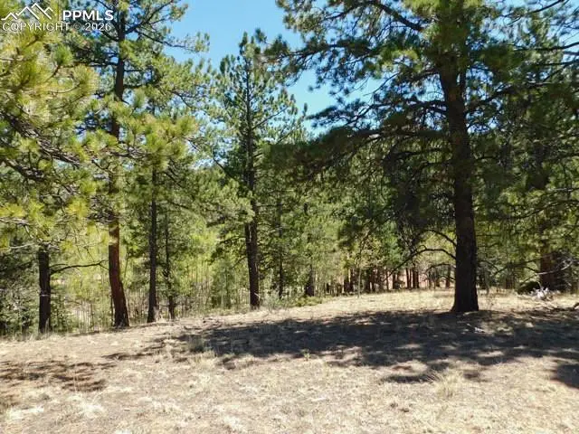 51 Mariposa Drive, Cripple Creek, CO 80813 - #1