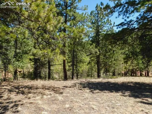 51 Mariposa Drive, Cripple Creek, CO 80813 - #3