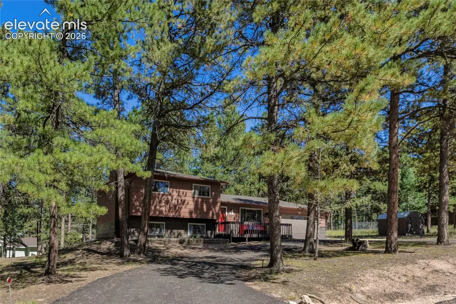 702 Sunnywood Loop, Woodland Park, CO 80863 - #3