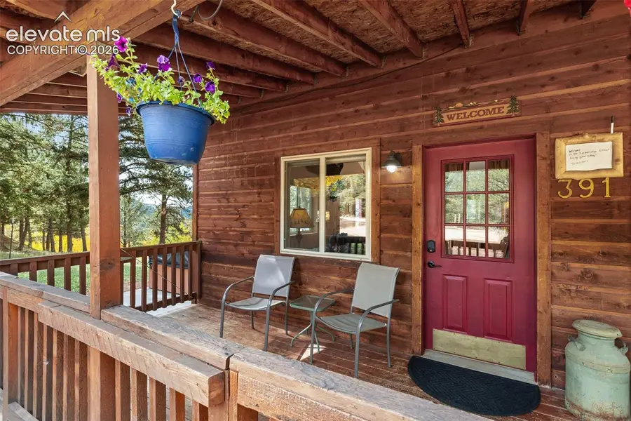 391 Timber Ridge Road, Divide, CO 80814 - #3