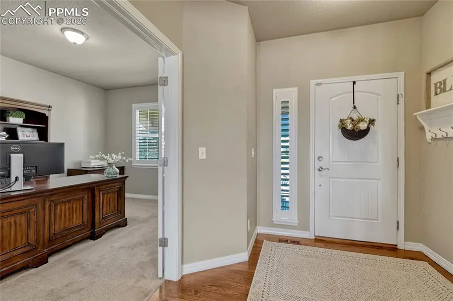 9167 Selkirk Place, Colorado Springs, CO 80924 - #3