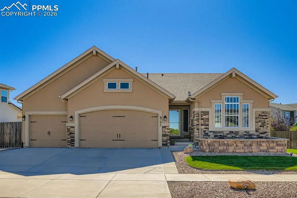 7197 Silver Buckle Drive, Colorado Springs, CO 80923 - #1