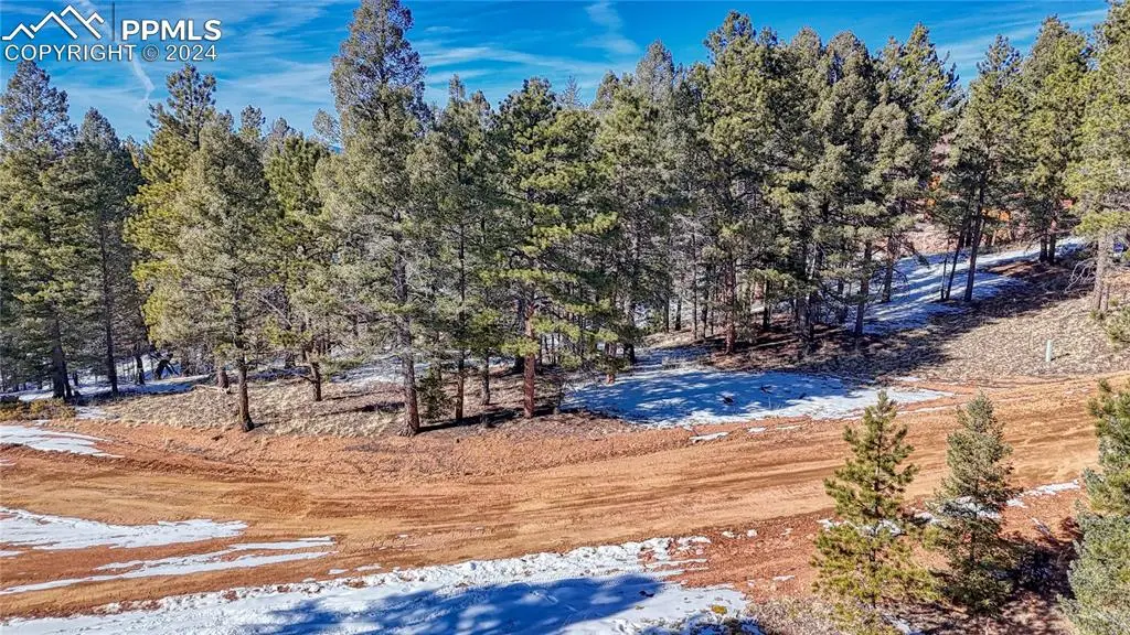 79 Huntsman Circle, Florissant, CO 80816 - #1
