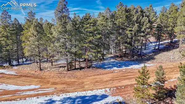 79 Huntsman Circle, Florissant, CO 80816