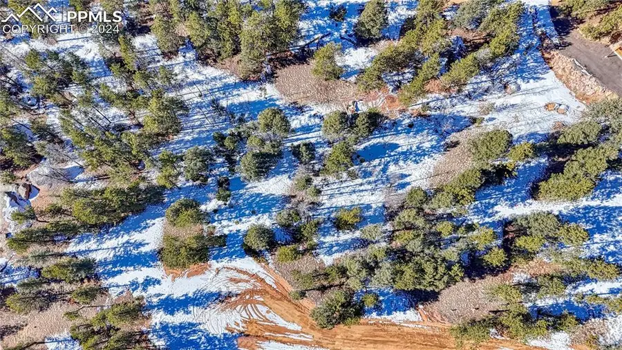 79 Huntsman Circle, Florissant, CO 80816 - #3