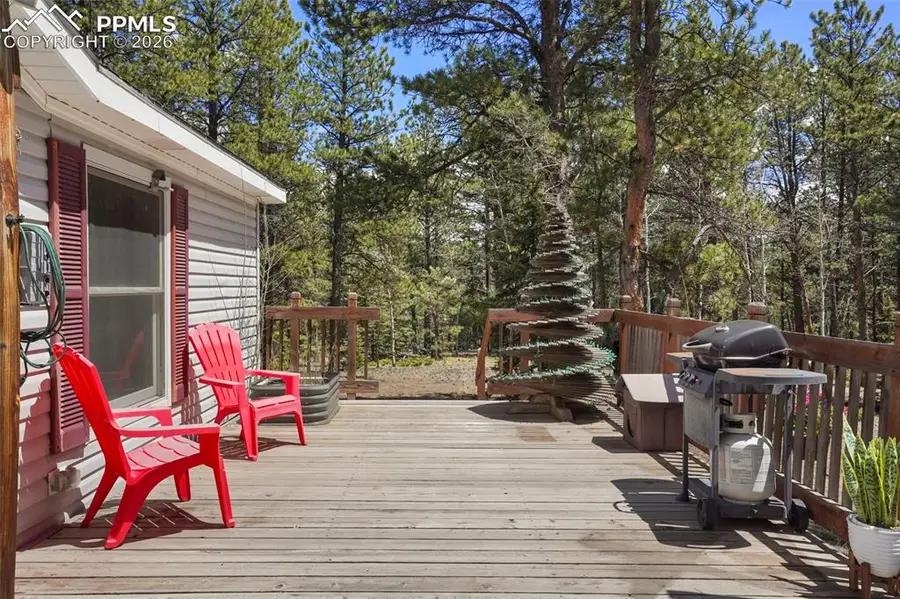 2450 Pathfinder Road, Florissant, CO 80816 - Image #2