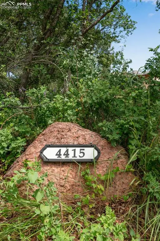 4415 Heizer Street, Cascade, CO 80809 - Image #3