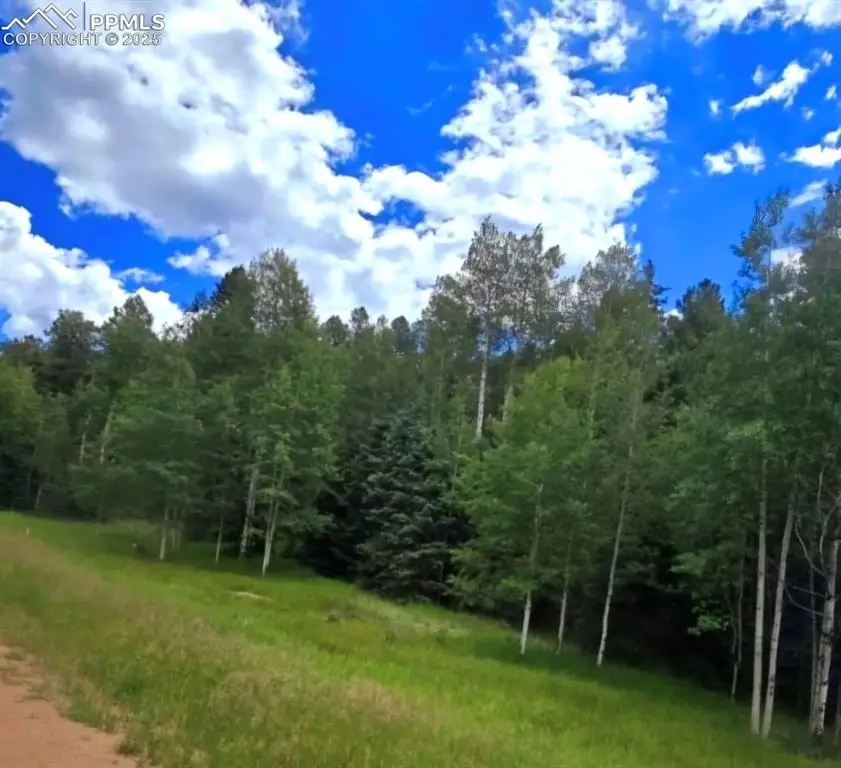 662 Spring Valley Lane, Florissant, CO 80816 - Image #3