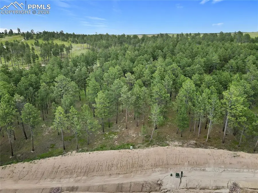 14983 Bourbon Court, Colorado Springs, CO 80908 - #2