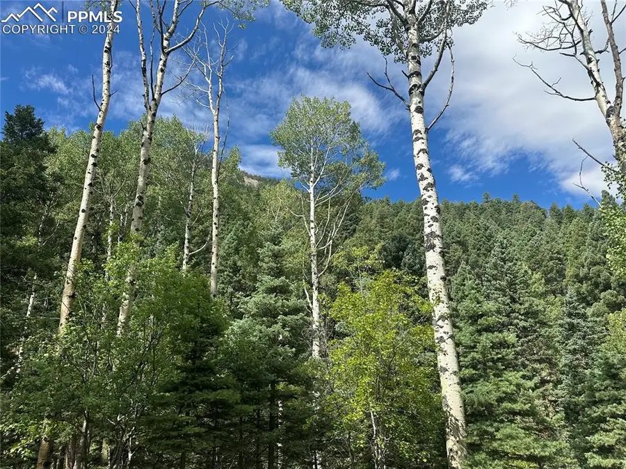 272 Fern Valley Road, Manitou Springs, CO 80829 - #2