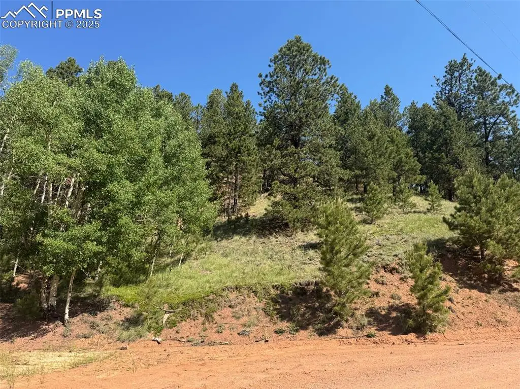 281 Pikes Peak Drive, Divide, CO 80814 - #1