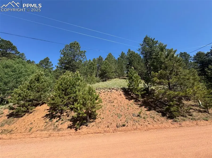 281 Pikes Peak Drive, Divide, CO 80814 - #2
