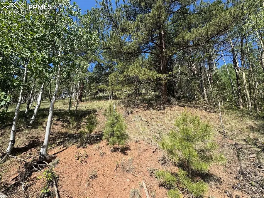 281 Pikes Peak Drive, Divide, CO 80814 - #3
