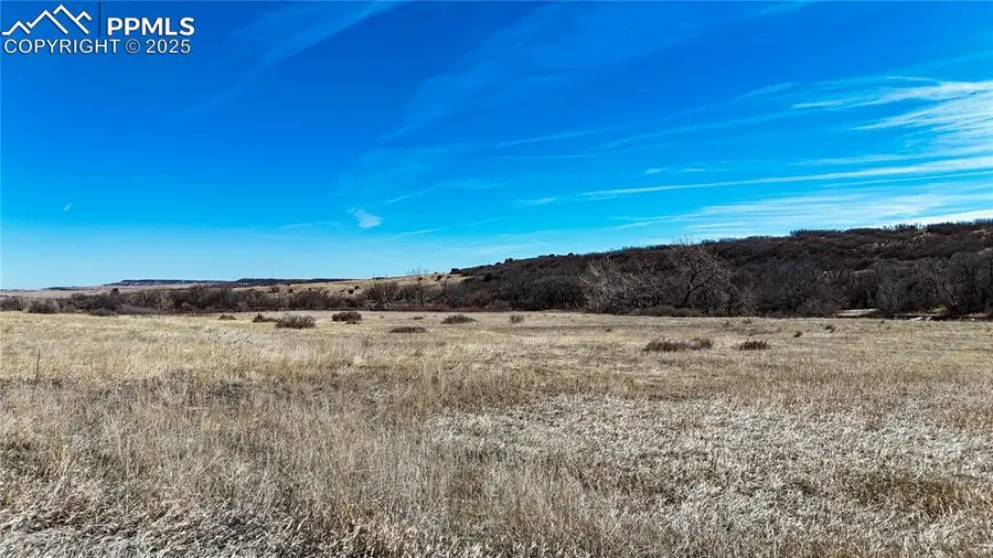 Virginia Street, Colorado City, CO 81019 - Image #3