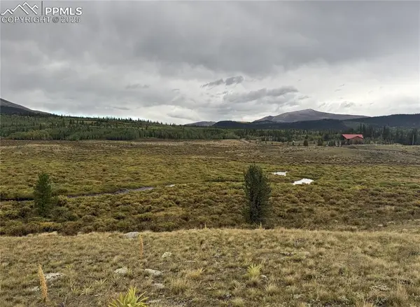 345 High River Court, Fairplay, CO 80440