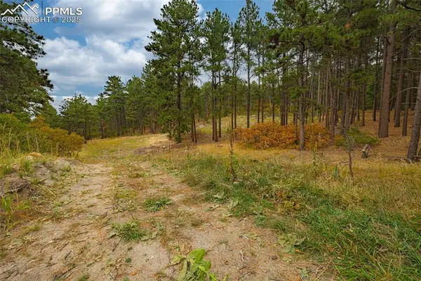 14420 S Perry Park Road, Larkspur, CO 80118