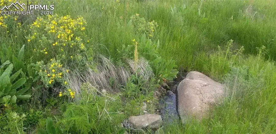 61 Canyon Drive, Florissant, CO 80816 - #2