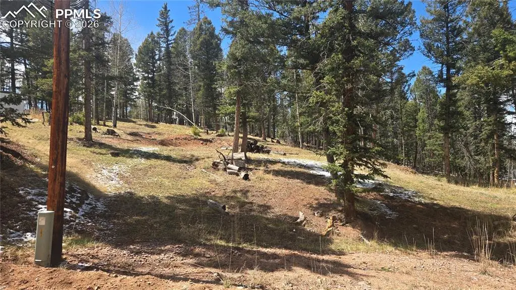 151 Mt Elbert Road, Florissant, CO 80816 - #1
