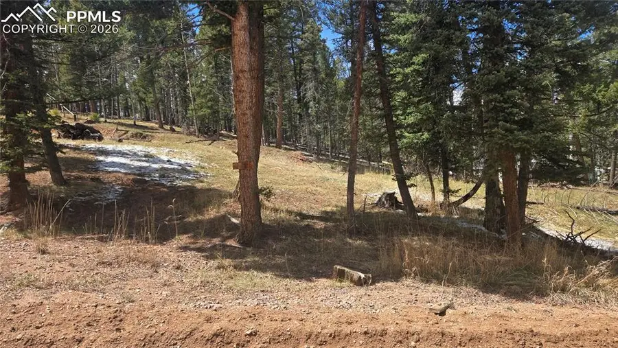 151 Mt Elbert Road, Florissant, CO 80816 - #2