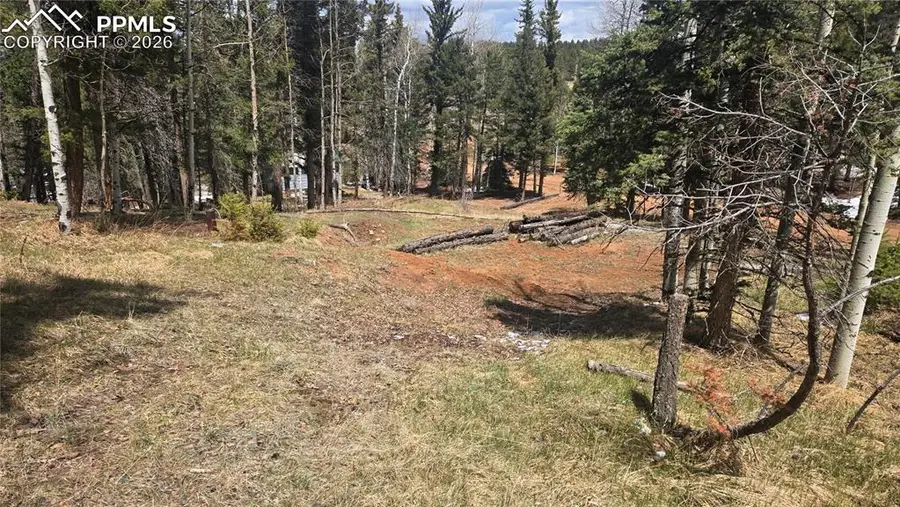 151 Mt Elbert Road, Florissant, CO 80816 - #3