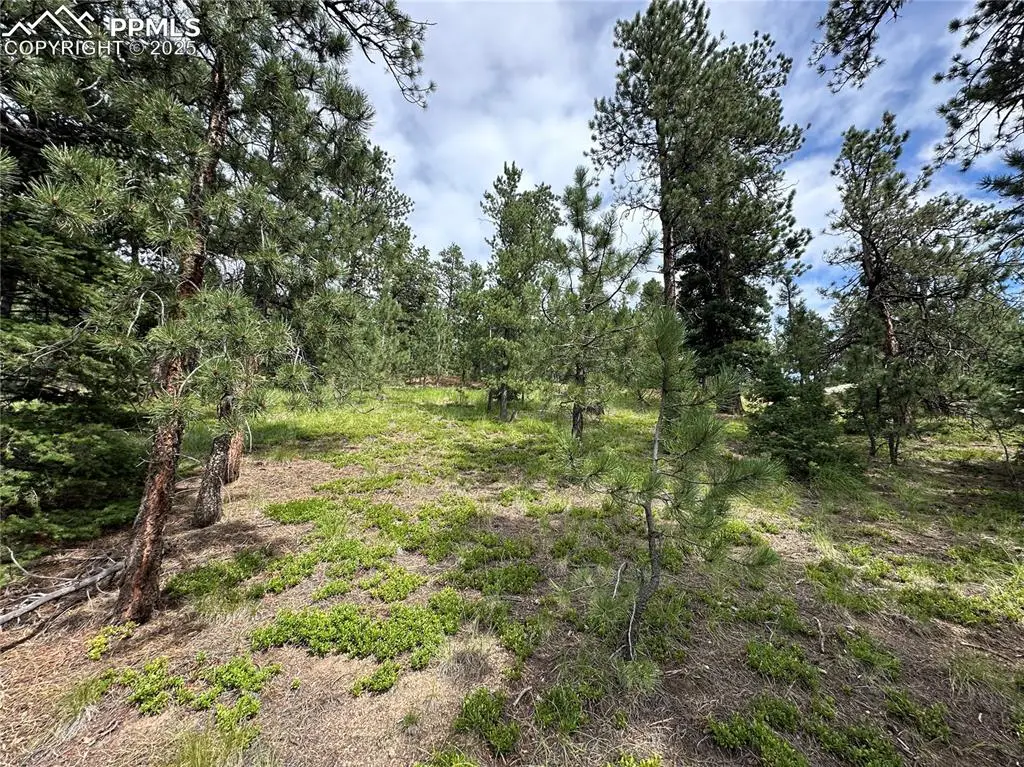 116 Happy Valley Road, Manitou Springs, CO 80829 - #1