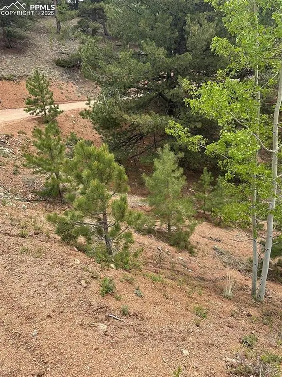 1600 Pikes Peak Drive, Divide, CO 80814