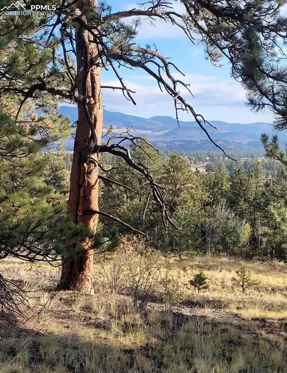 2502 Cr-88, Guffey, CO 80820 - #3