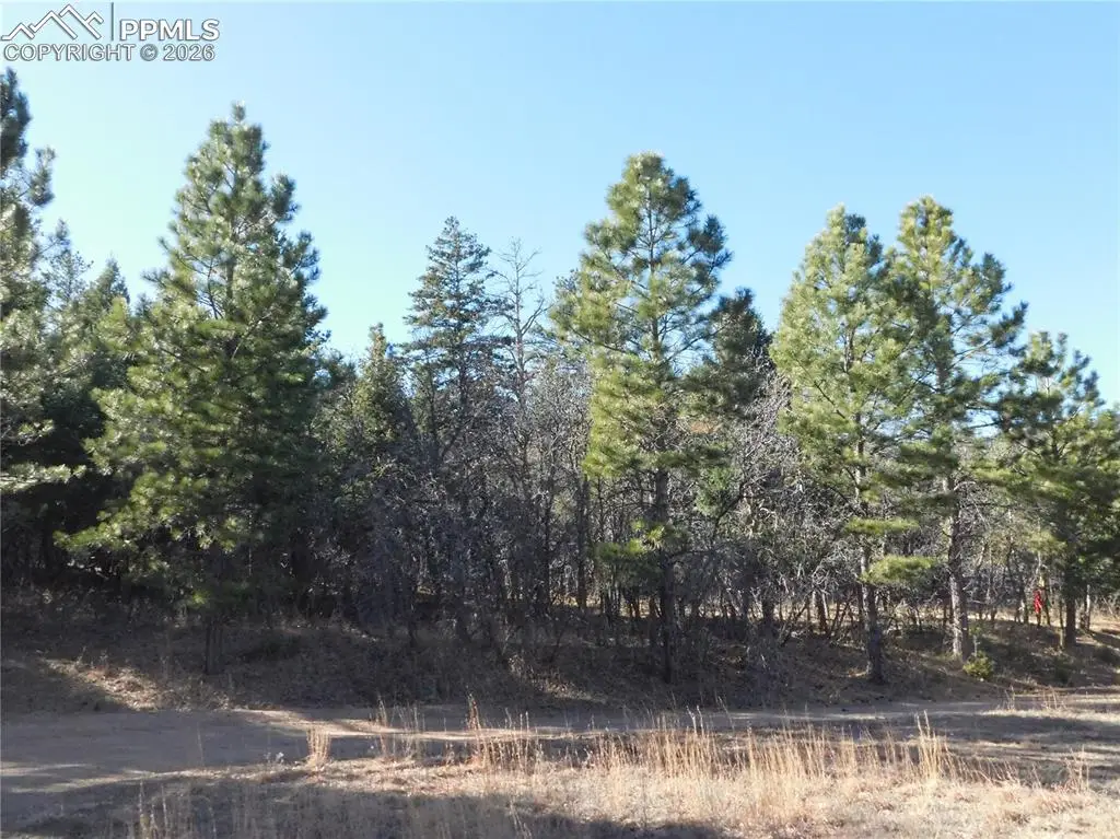6294 Troon Court, Larkspur, CO 80118 - #1