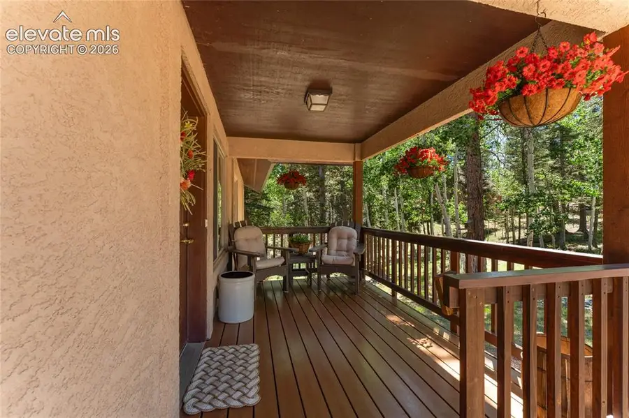 657 Spring Valley Drive, Divide, CO 80814 - #3