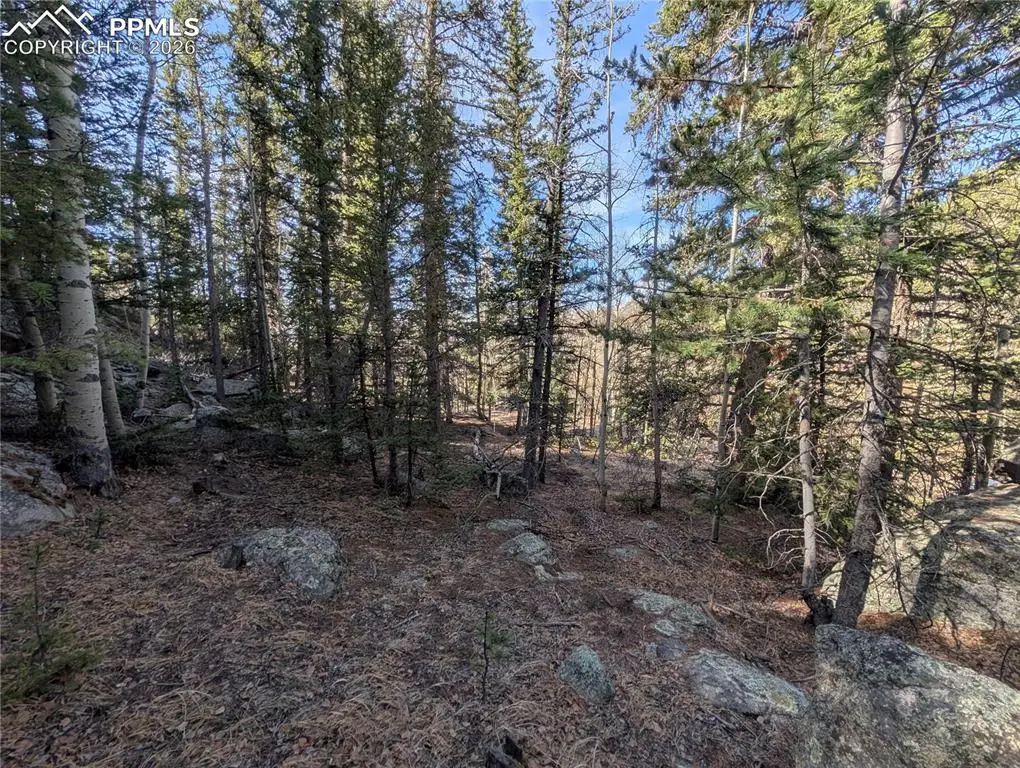 386 Brook Drive, Lake George, CO 80827 - #1