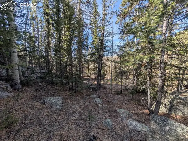 386 Brook Drive, Lake George, CO 80827